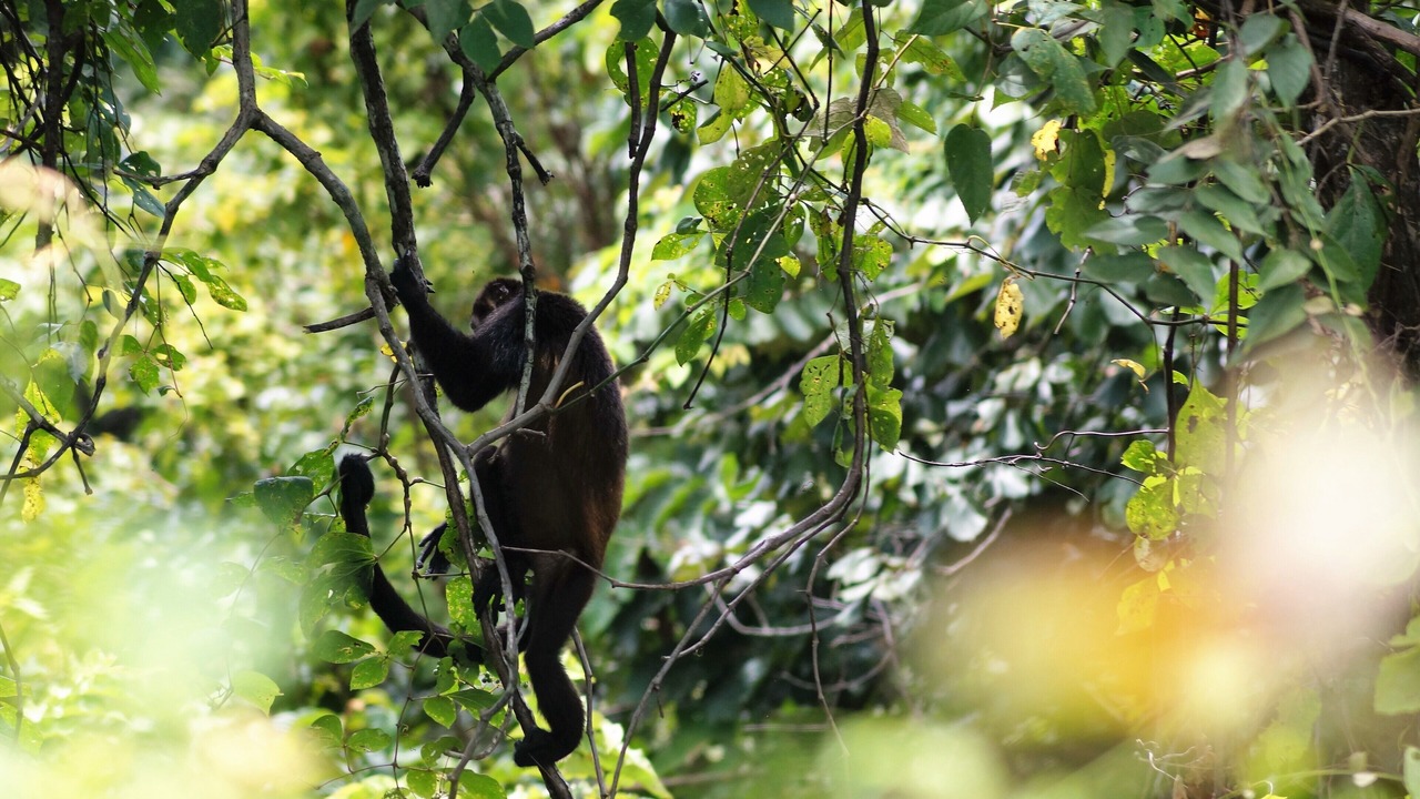 Photo of Outdoor in San Juanillo