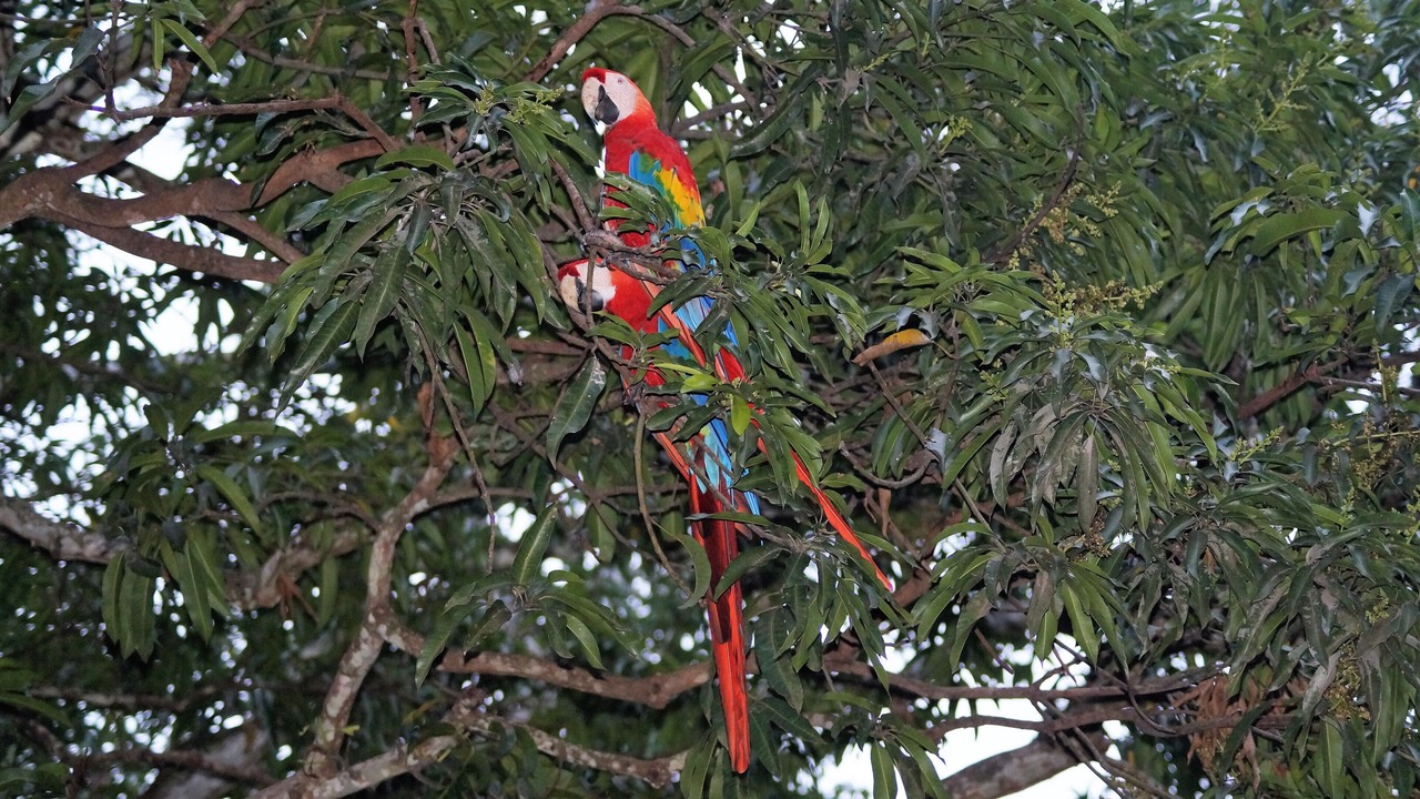 Photo of Outdoor in San Juanillo
