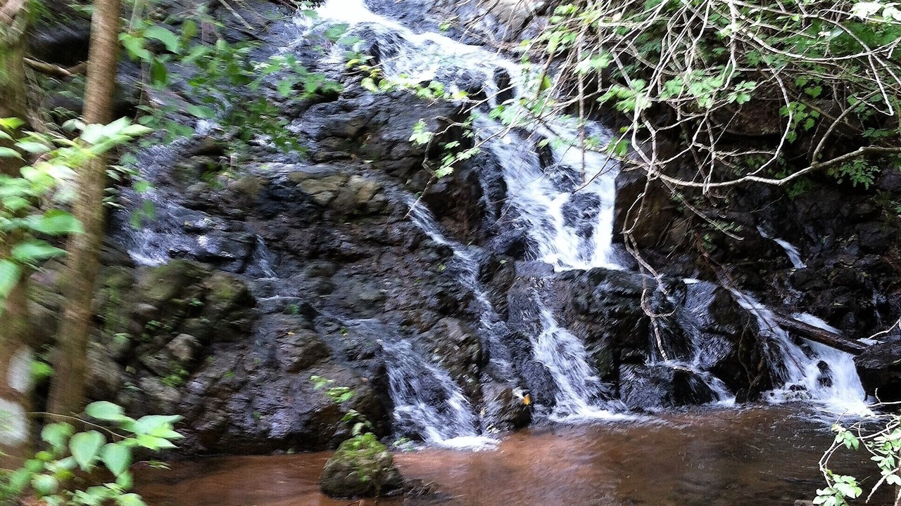 Photo of Outdoor in San Juanillo