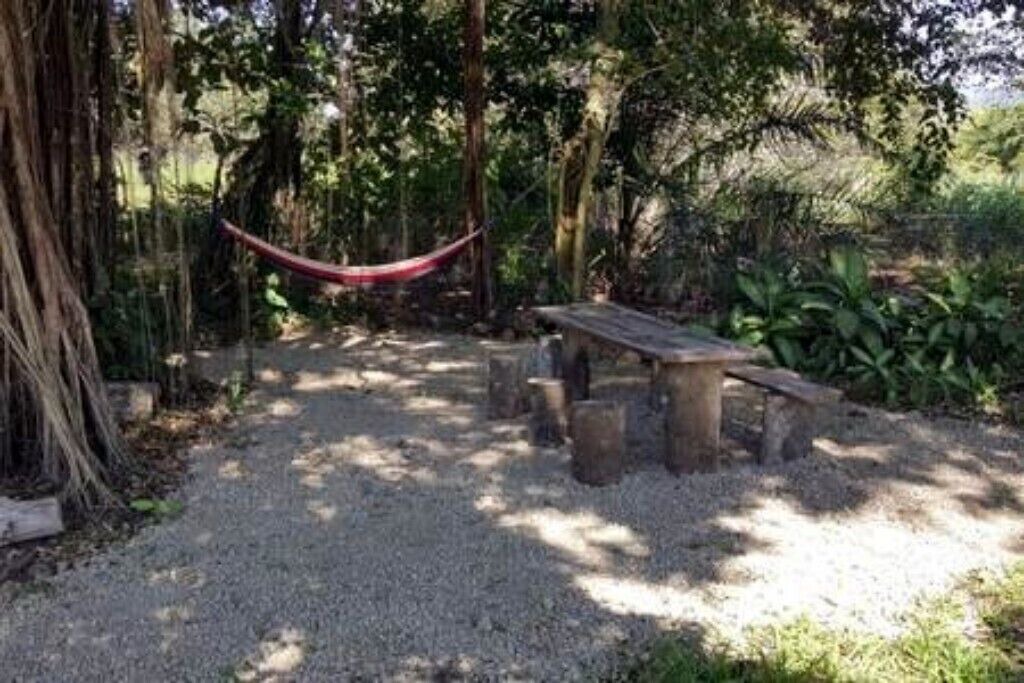 Photo of Outdoor in Playa Matapalo