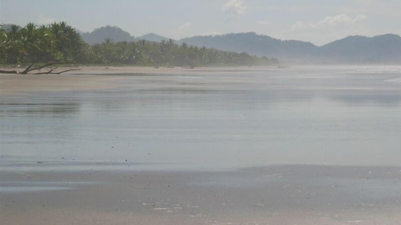 Photo of Others in Javilla