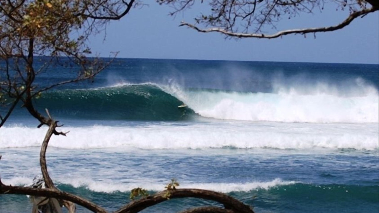 Photo of Others in Playa Negra