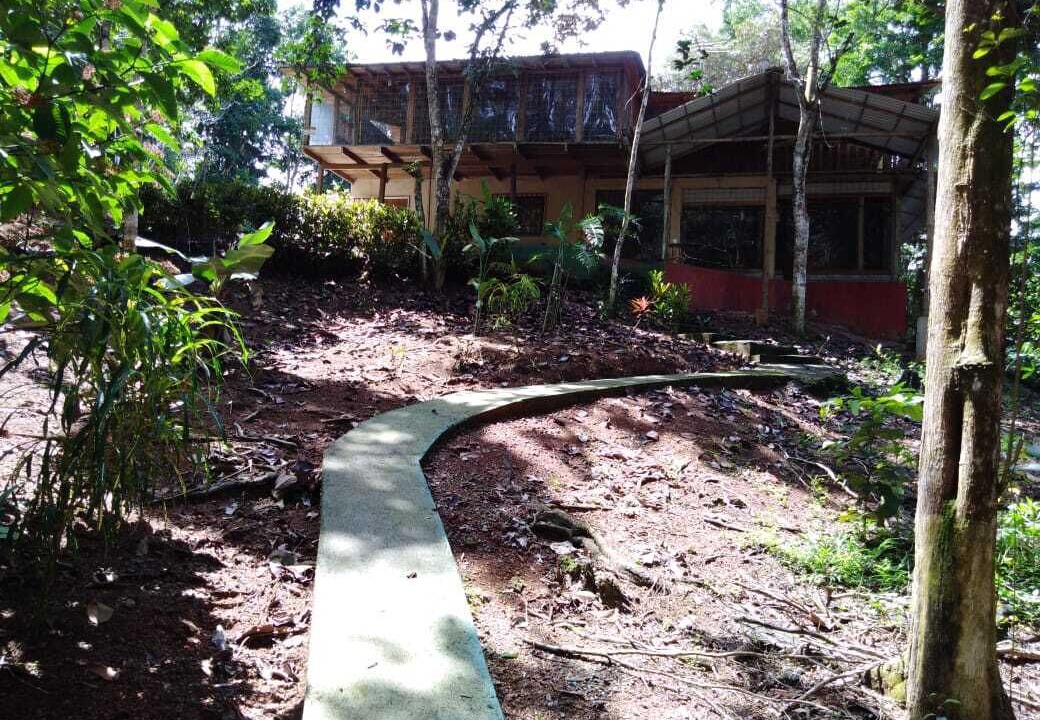 Photo of Outdoor in Platanillo