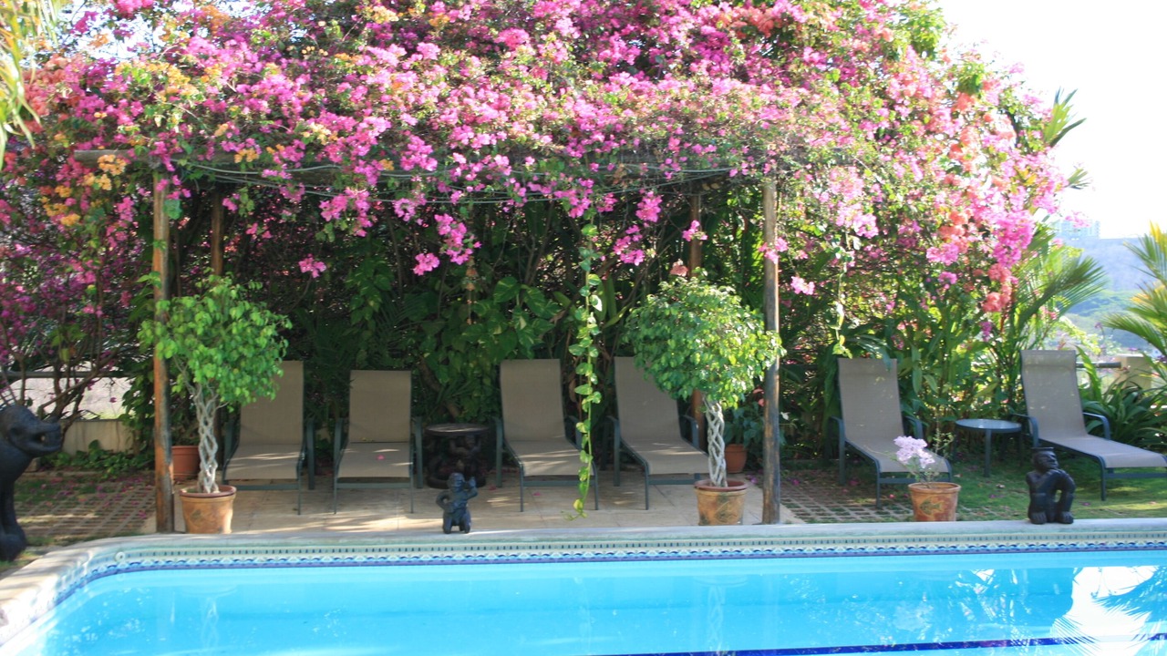 Photo of Outdoor in Playa Flamingo