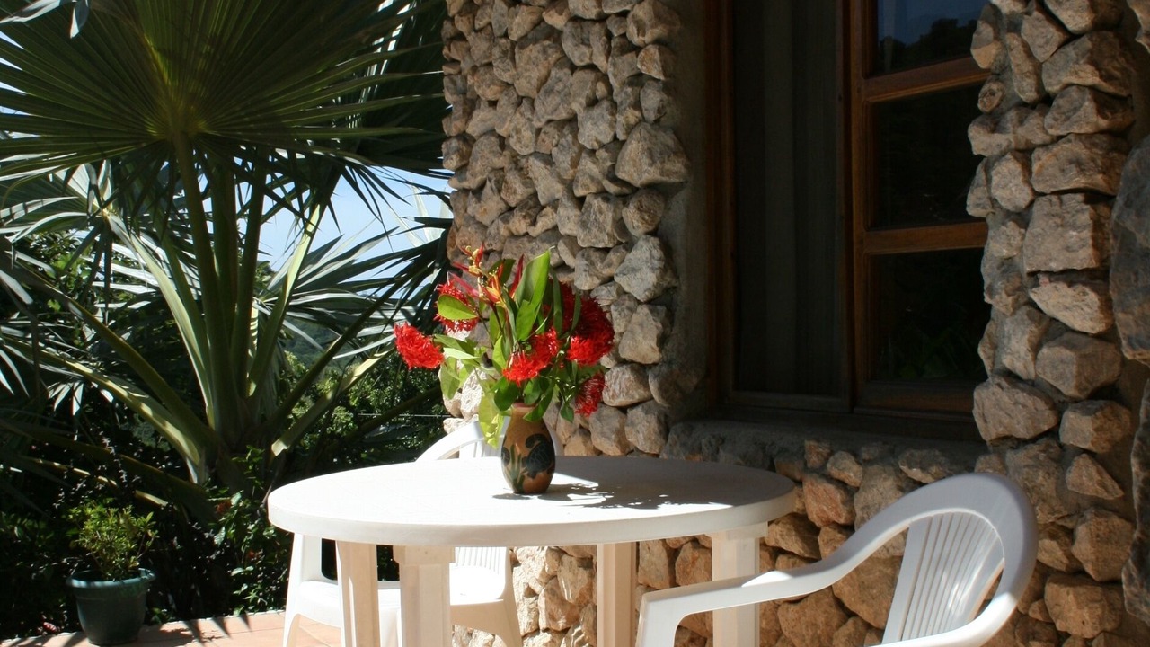 Photo of Outdoor in Playa Flamingo