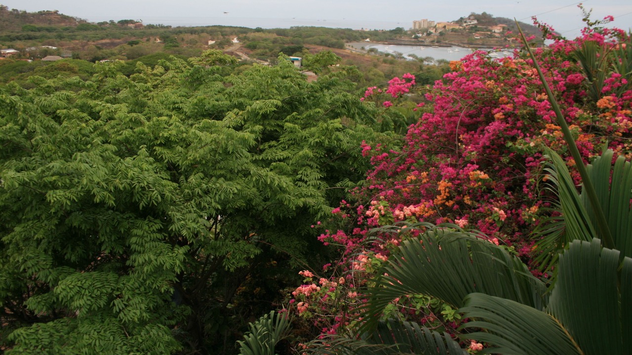 Photo of Outdoor in Playa Flamingo