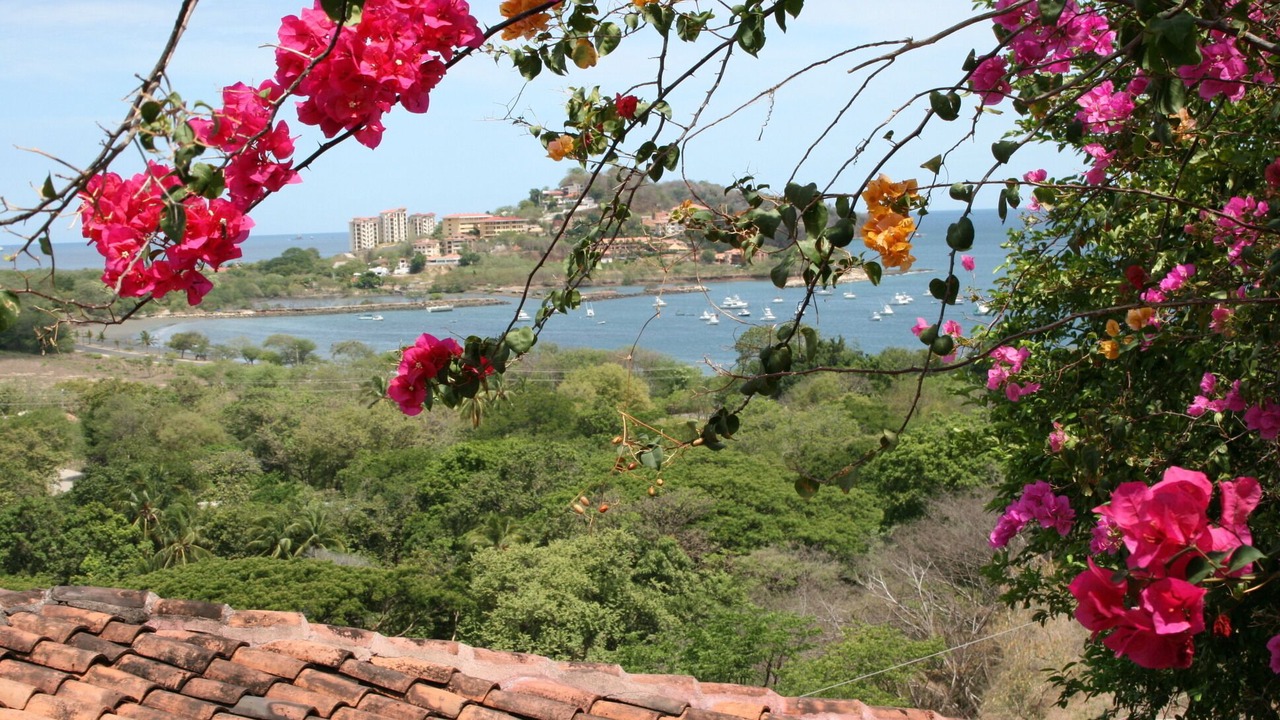 Photo of Outdoor in Playa Flamingo