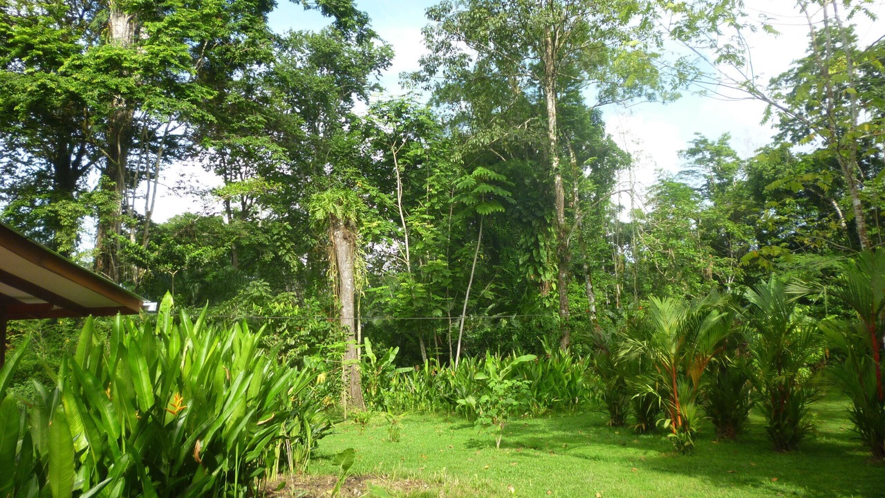 Photo of Outdoor in Puerto Viejo de Talamanca
