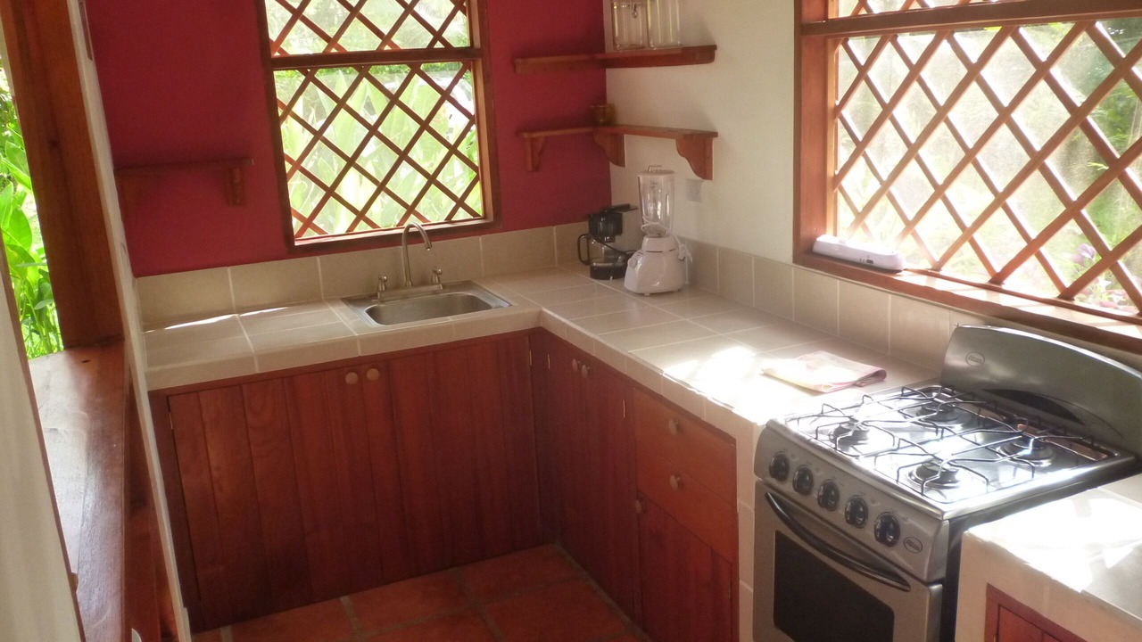 Photo of Kitchen in Puerto Viejo de Talamanca