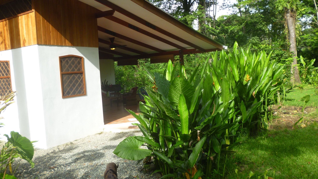 Photo of Outdoor in Puerto Viejo de Talamanca