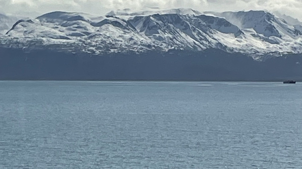 Photo of Others in Homer