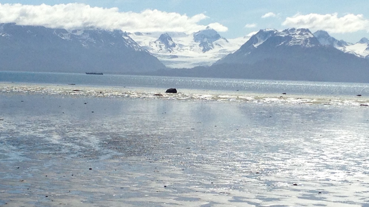 Photo of Others in Homer