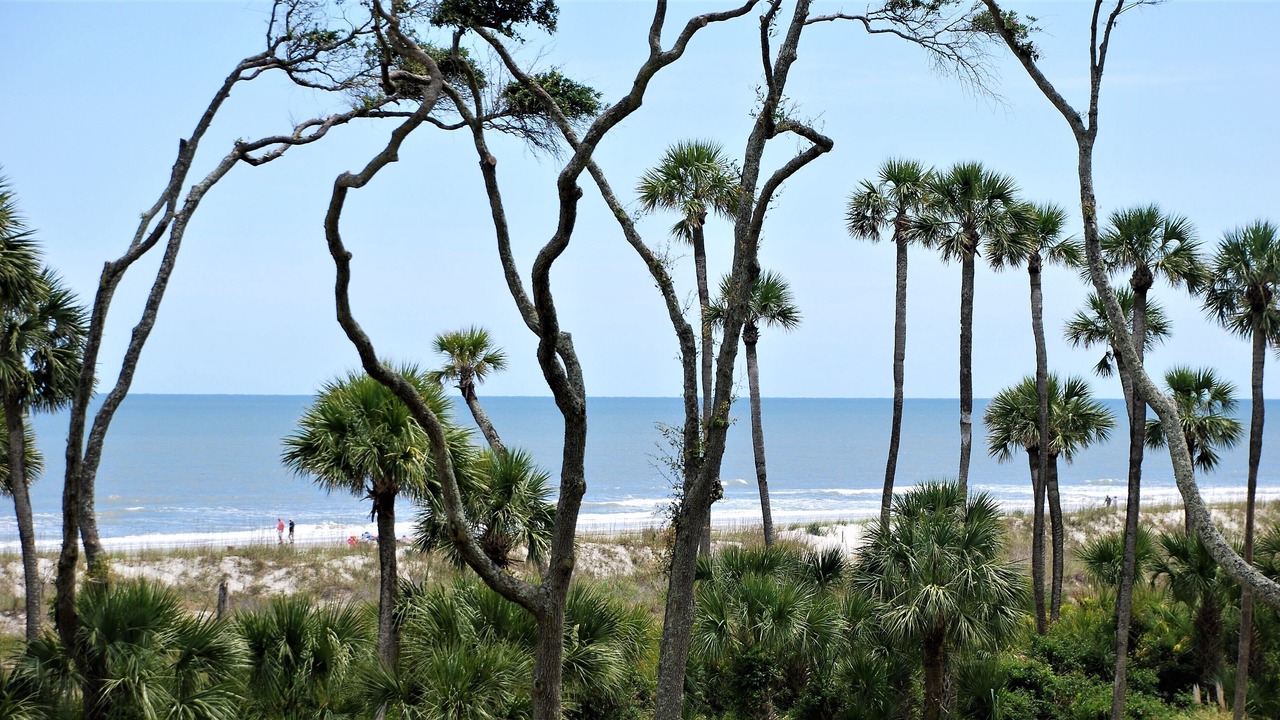 Photo of Patio Balcony in Palmetto Dunes