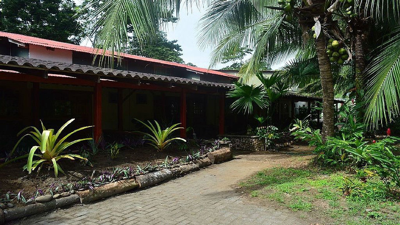 Photo of Outdoor in Puerto Viejo de Talamanca
