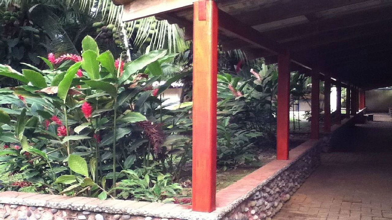 Photo of Outdoor in Puerto Viejo de Talamanca