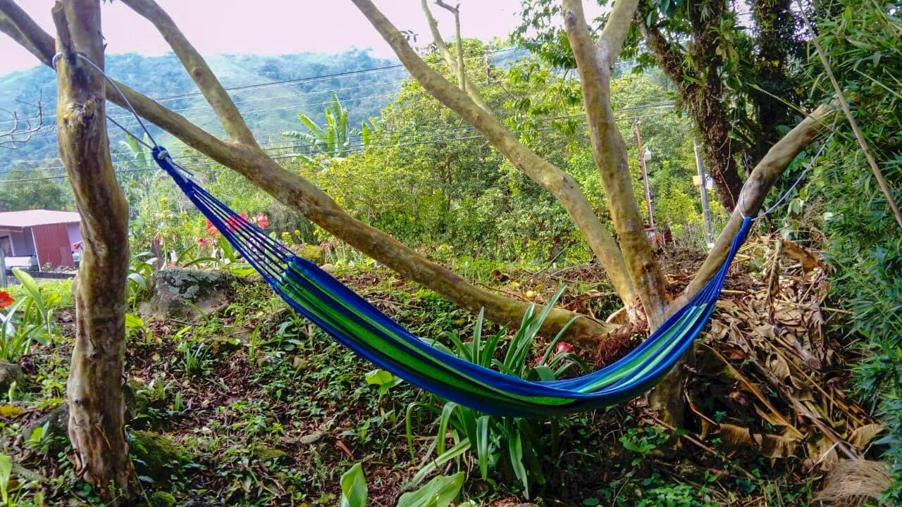 Photo of Outdoor in Turrialba