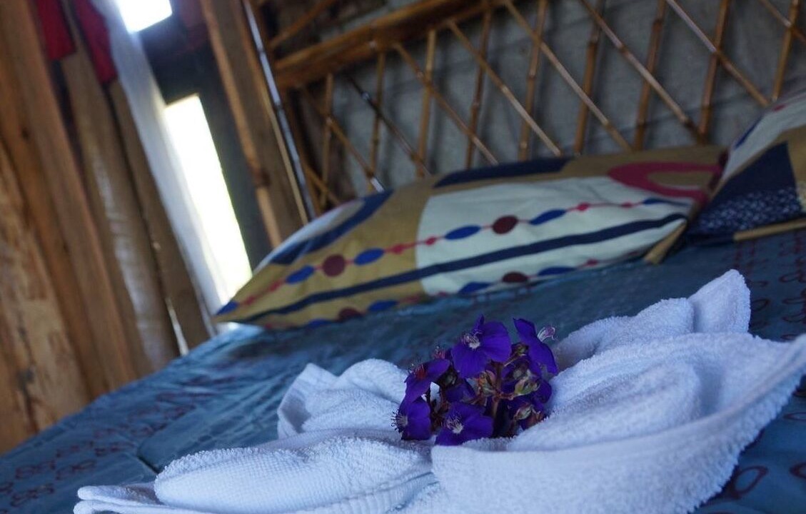 Photo of Bedroom in Turrialba