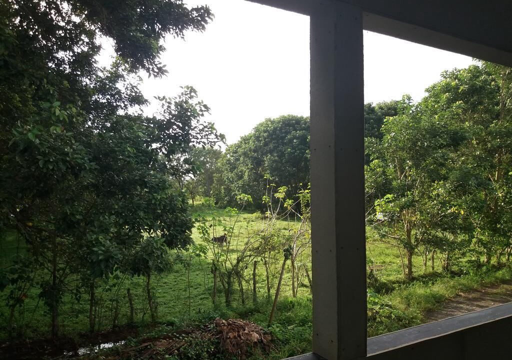 Photo of Others in Matapalo