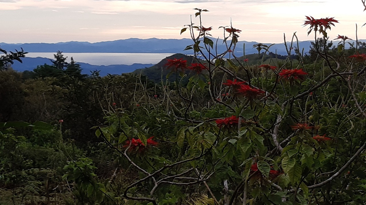 Photo of Others in Monteverde