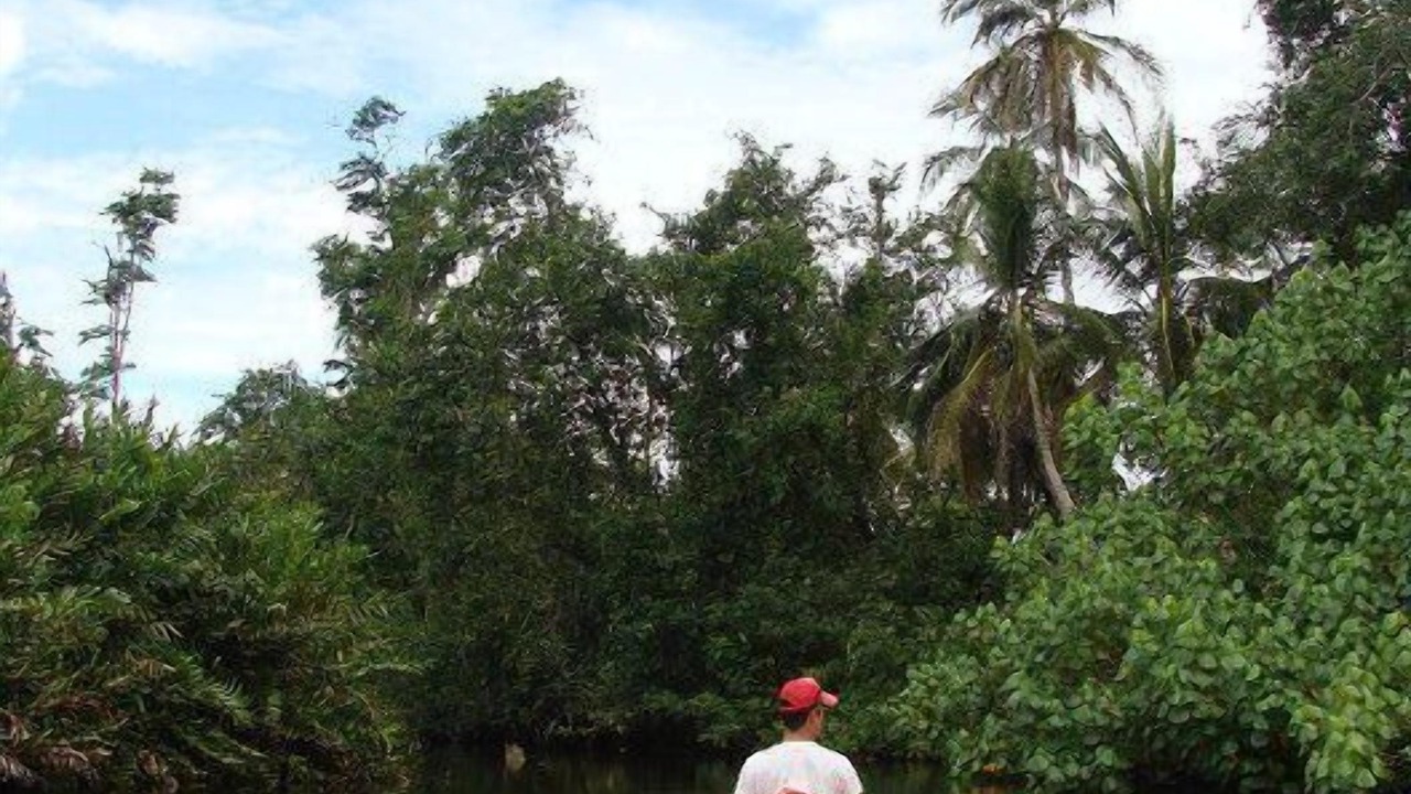 Photo of Others in Cahuita