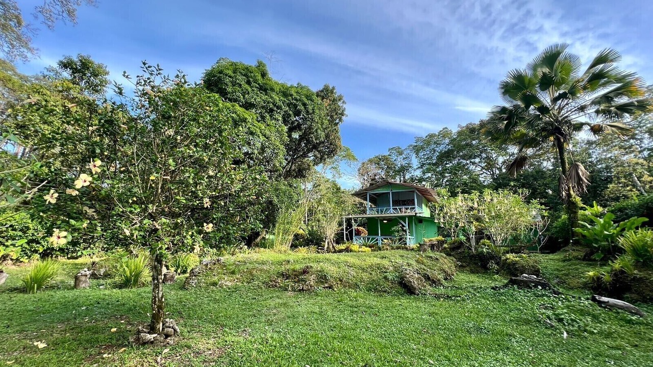 Photo of Others in Cahuita