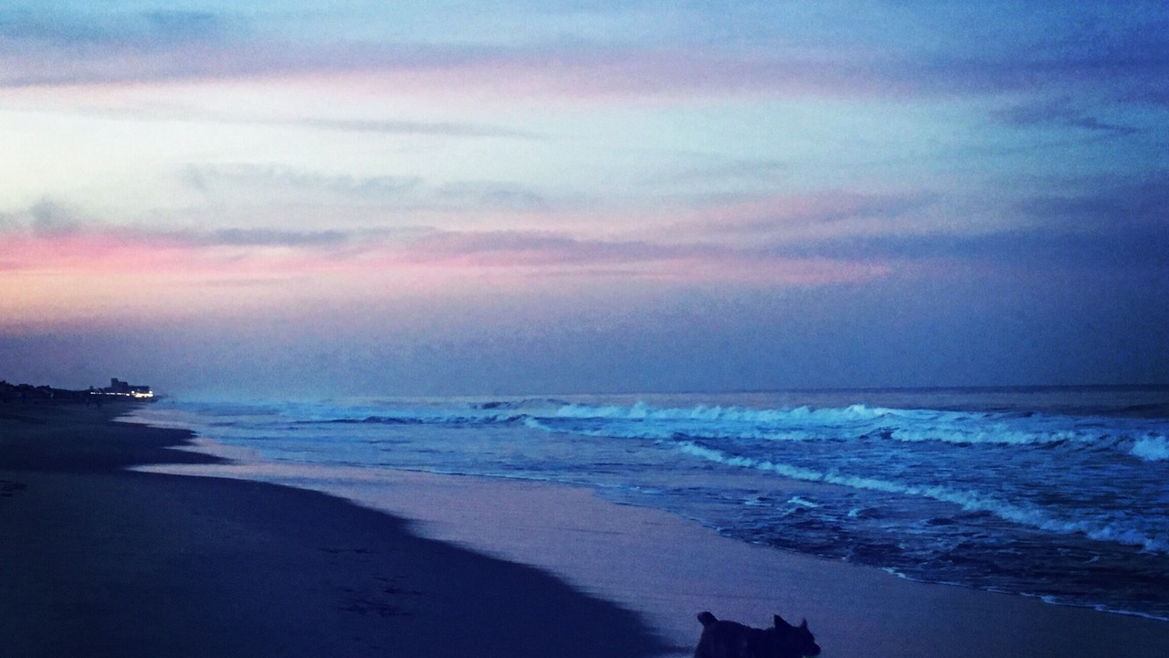 Photo of Others in Dewey Beach
