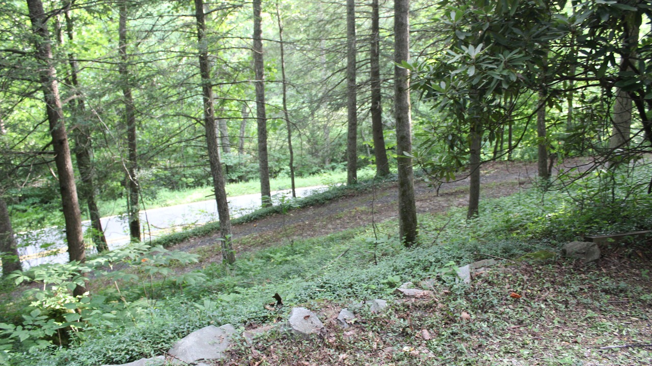 Photo of Others in Spruce Pine
