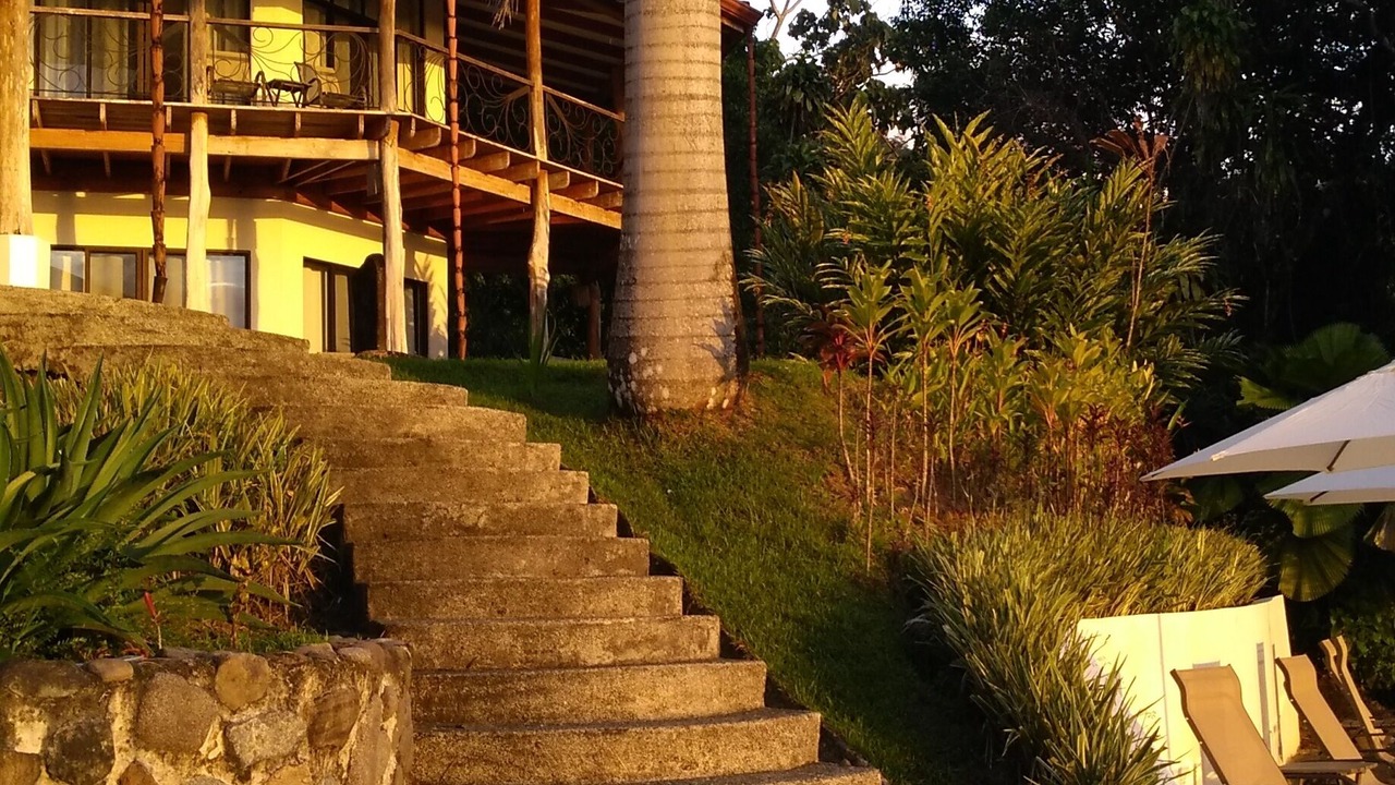 Photo of Outdoor in Dominicalito