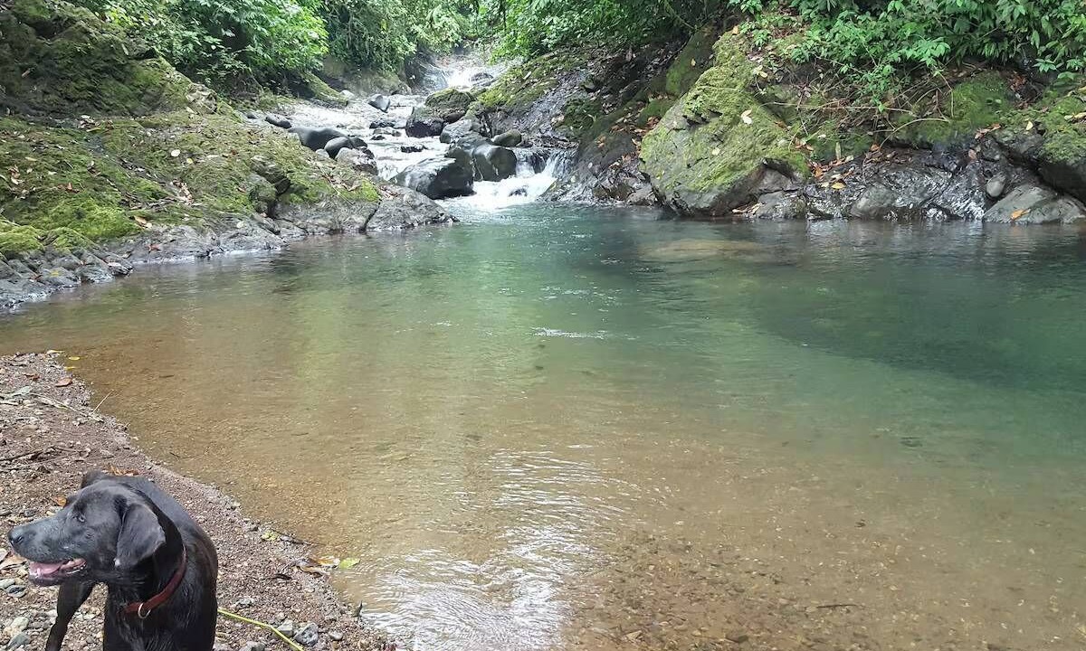 Photo of Others in Parrita