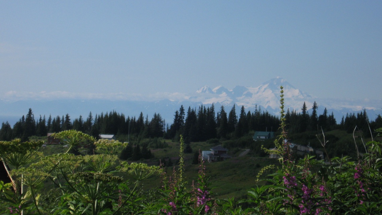 Photo of Others in Diamond Ridge
