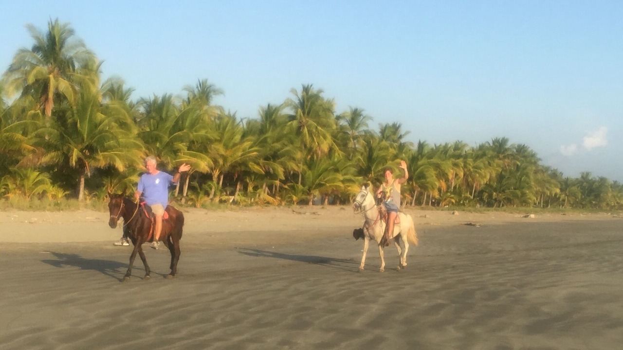 Photo of Others in Playa San Miguel