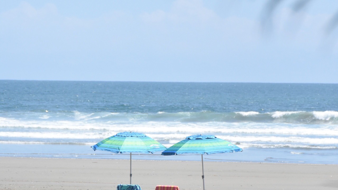Photo of Others in Playa San Miguel