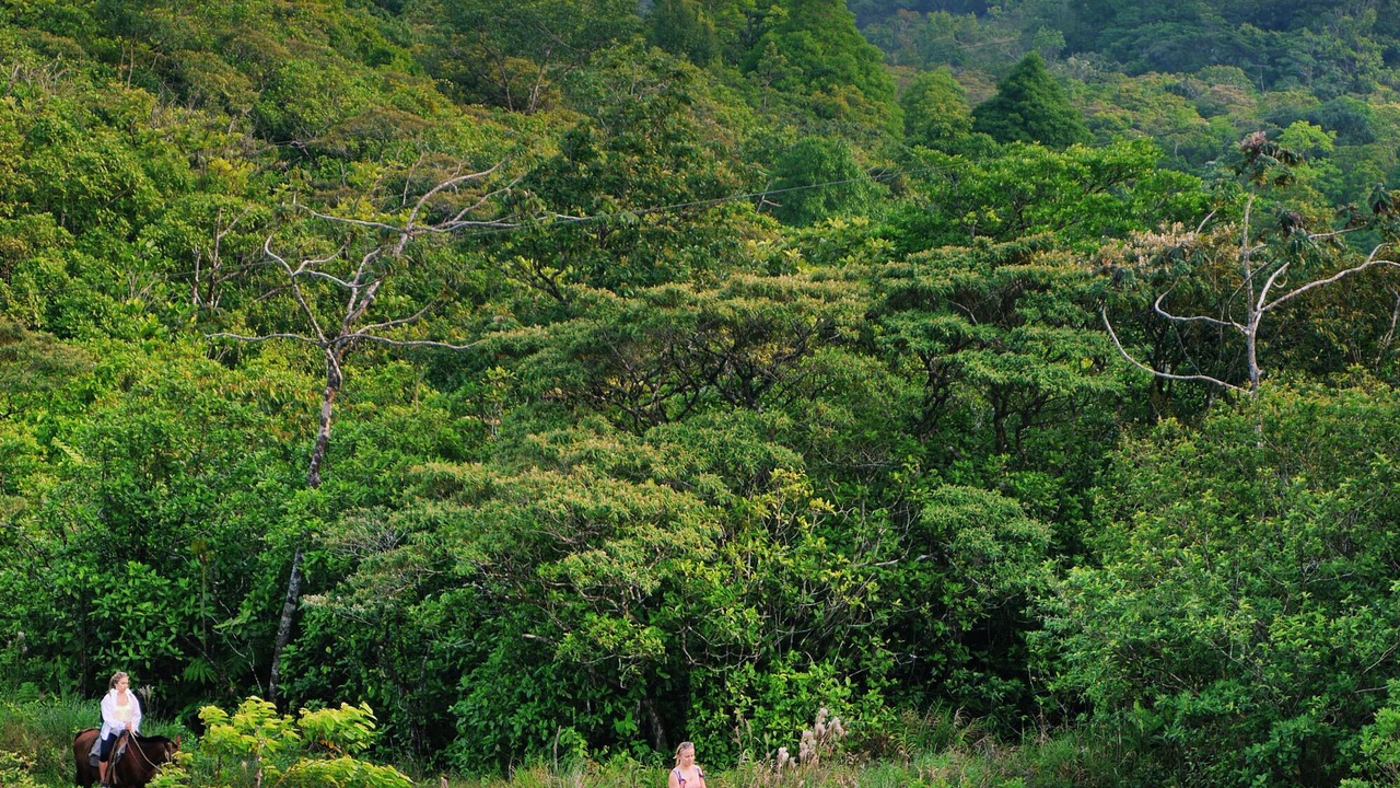 Photo of Others in Arenal