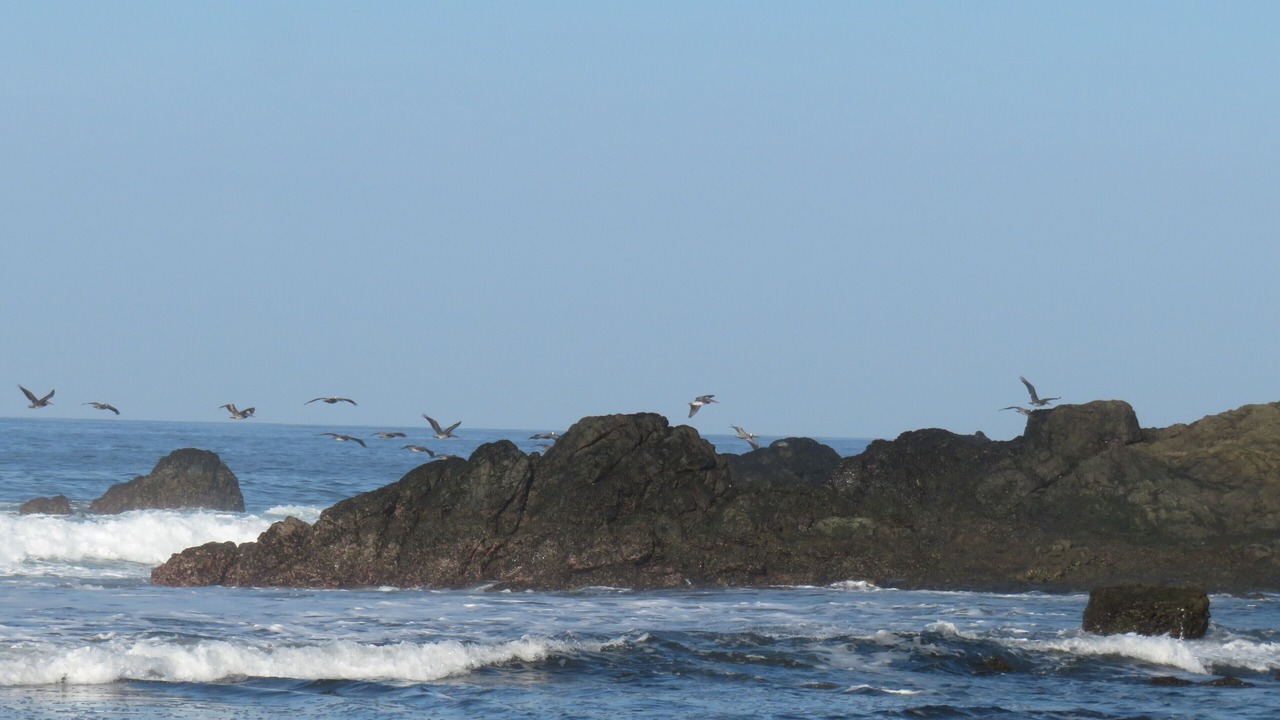Photo of Others in Playa Azul