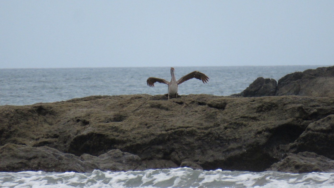 Photo of Others in Playa Azul