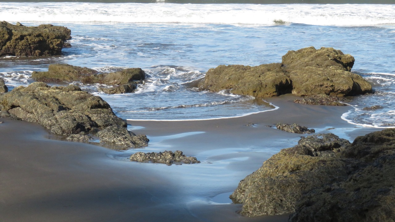 Photo of Others in Playa Azul