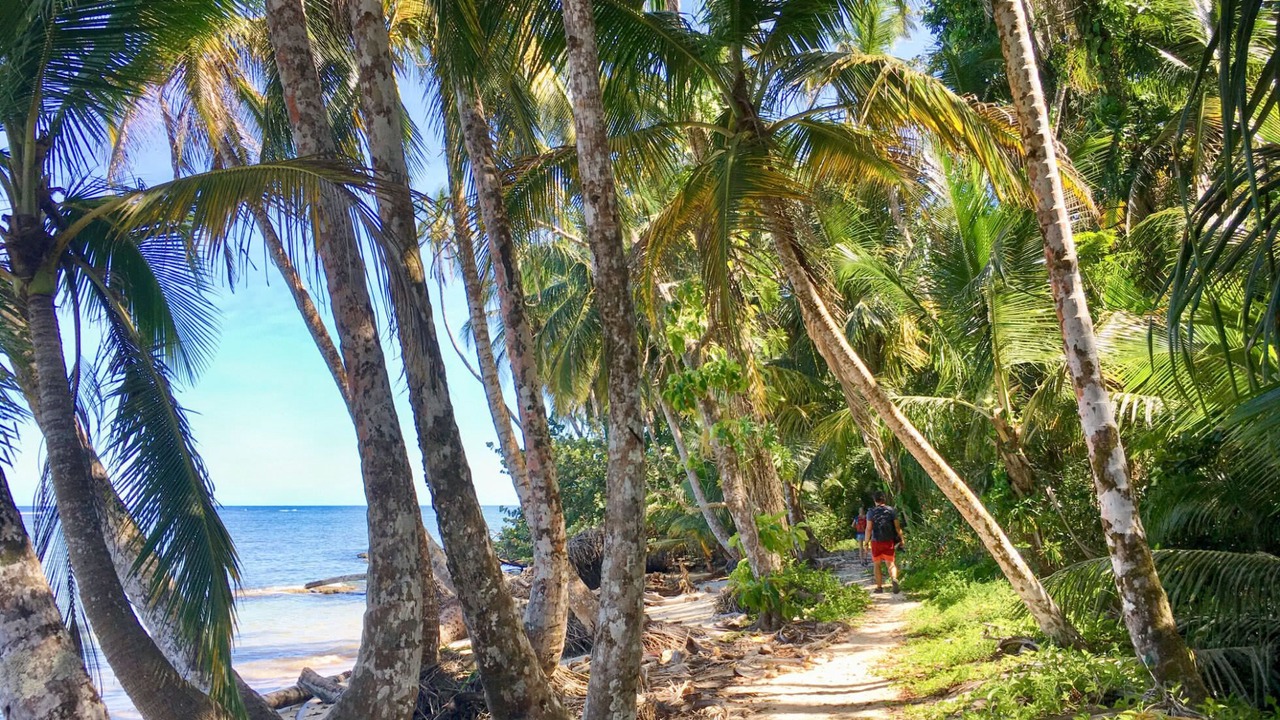 Photo of Others in Cahuita