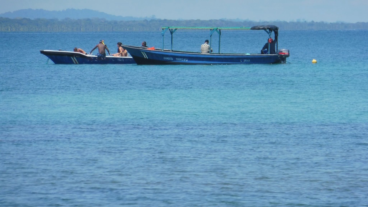 Photo of Others in Cahuita