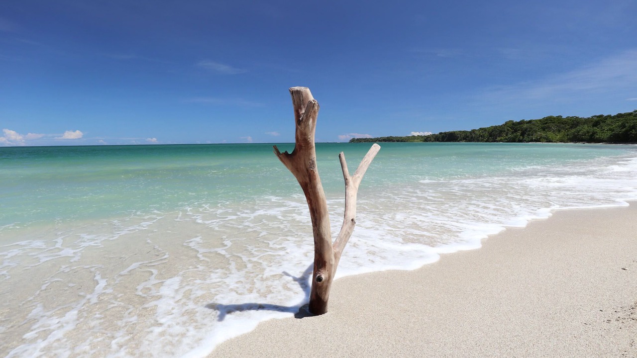 Photo of Others in Cahuita