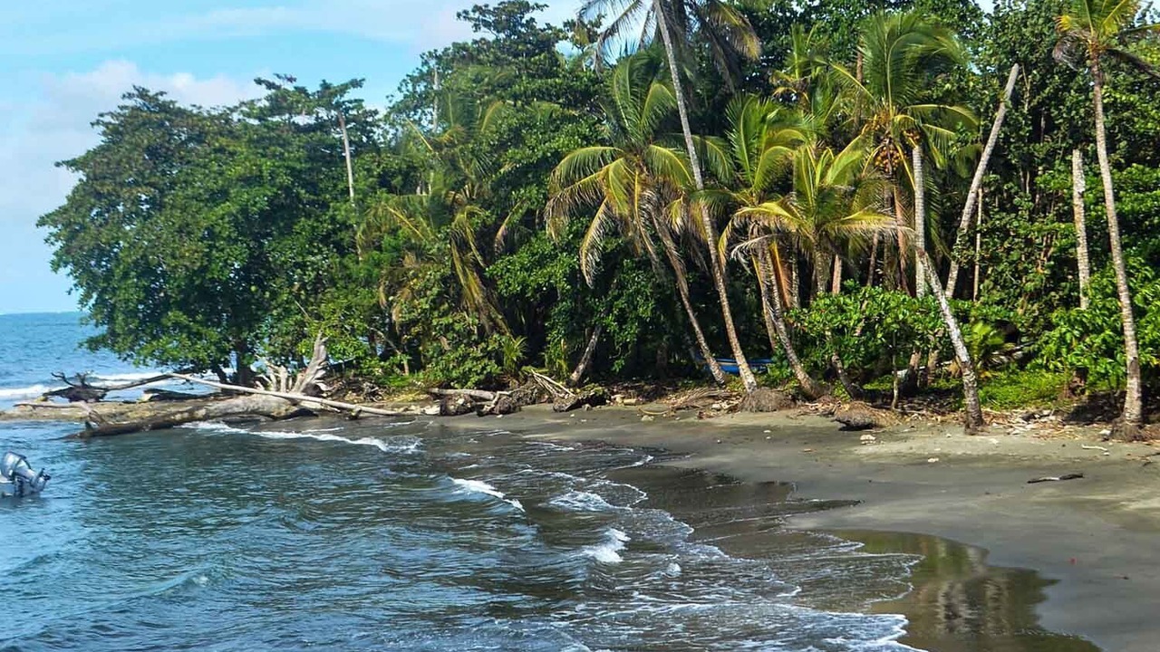 Photo of Others in Cahuita