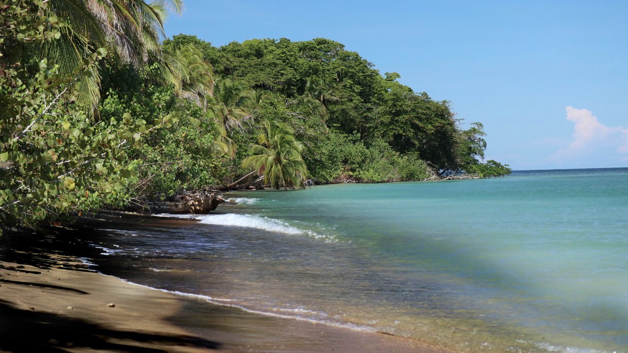 Photo of Others in Cahuita