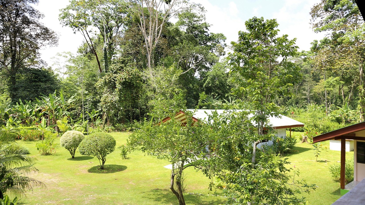 Photo of Outdoor in Cahuita