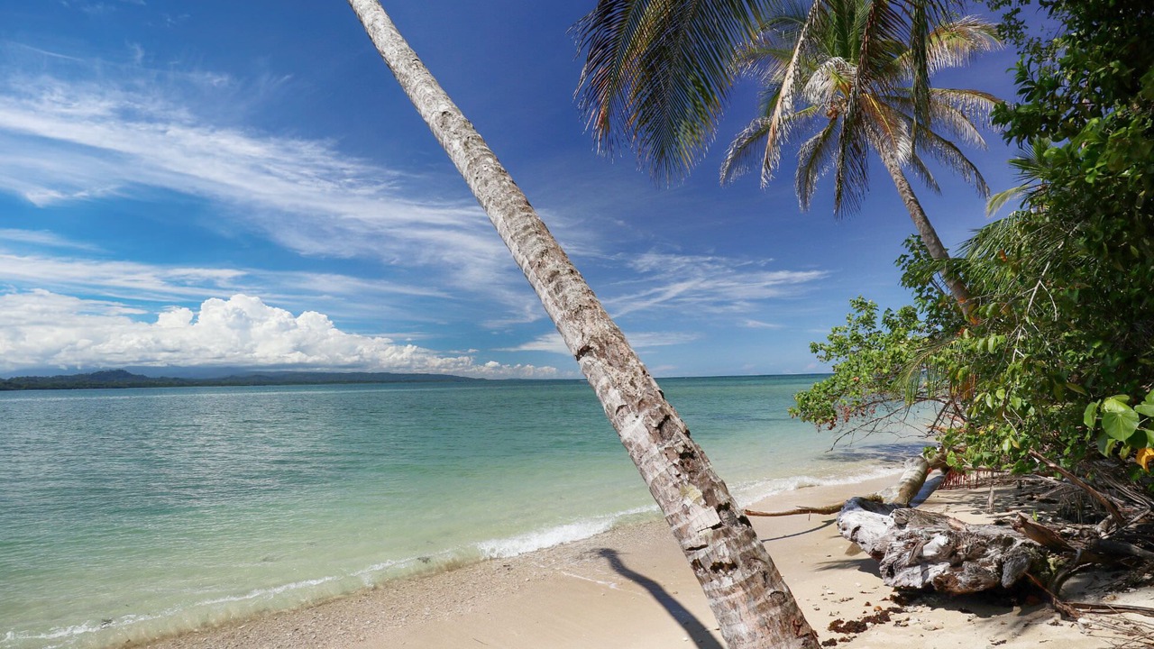 Photo of Others in Cahuita