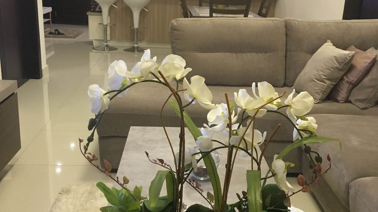 Photo of Livingroom in Muscat