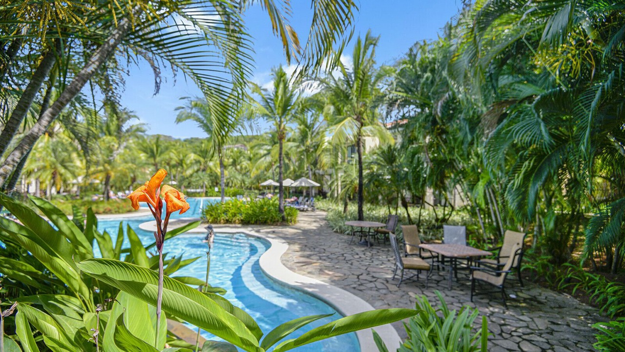 Photo of Outdoor in Coco