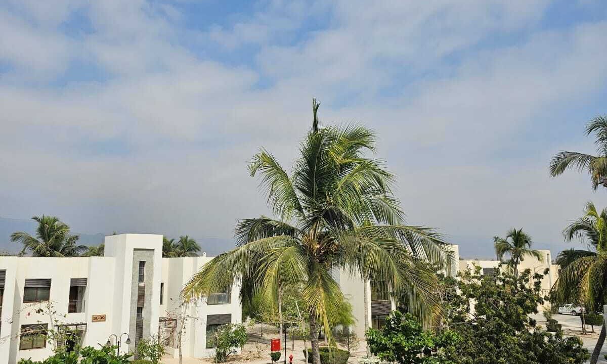 Photo of Outdoor in Salalah