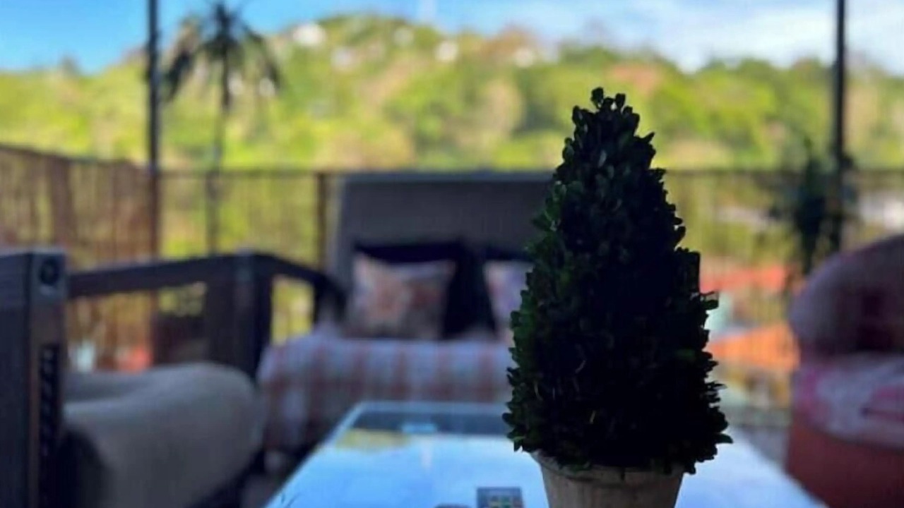 Photo of Outdoor in El Cerro