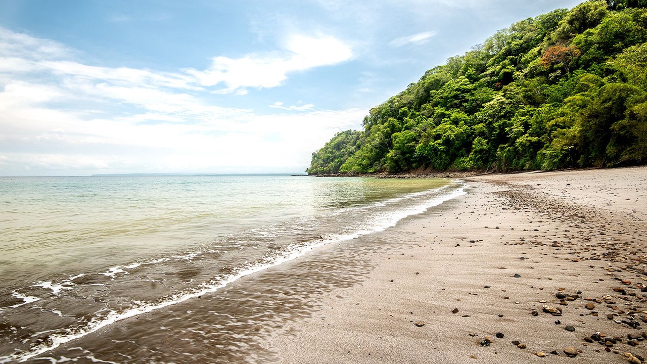 Photo of Others in Jaco