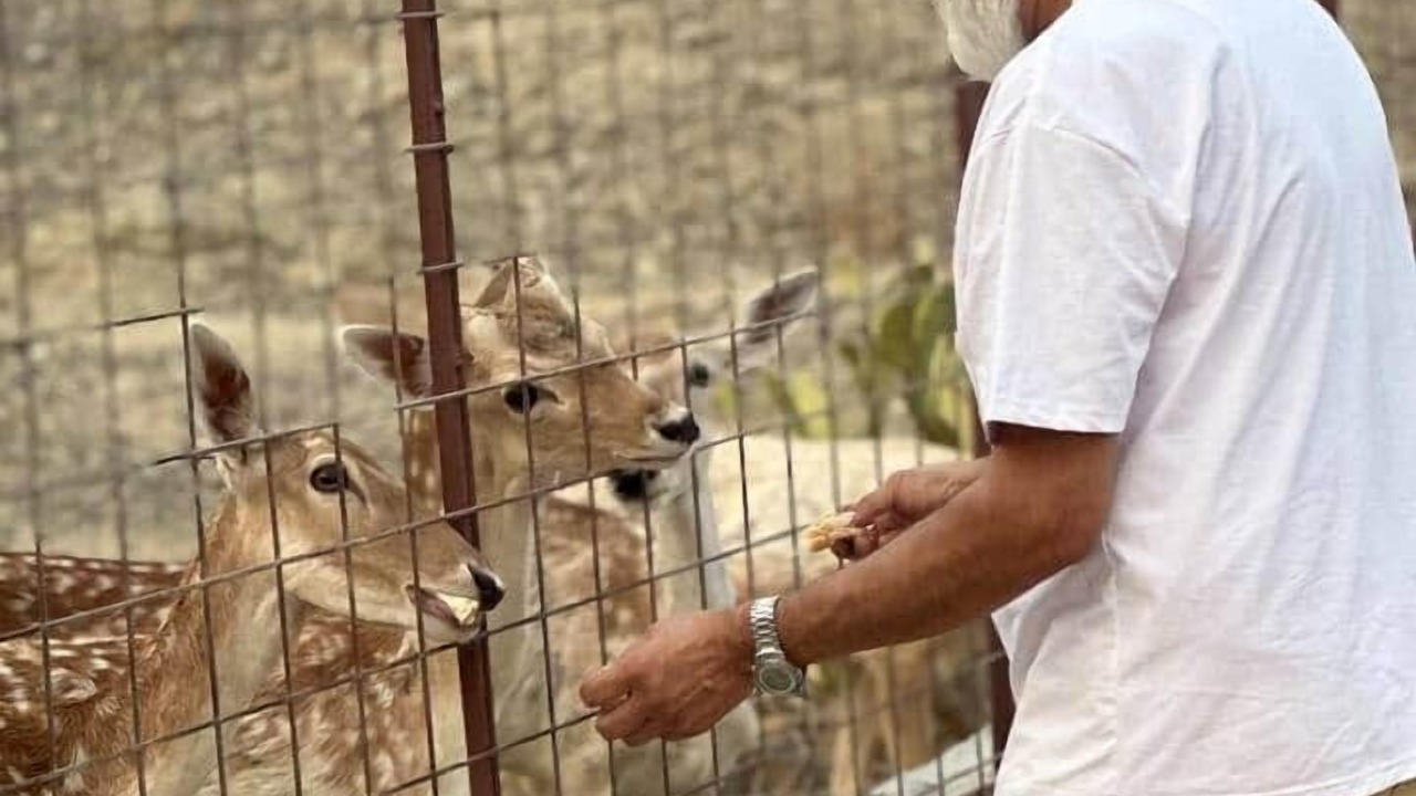 Photo of Others in Khatt