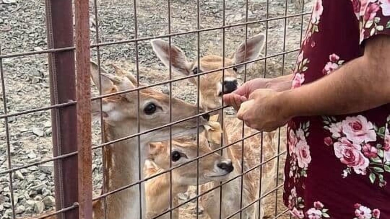 Photo of Others in Khatt
